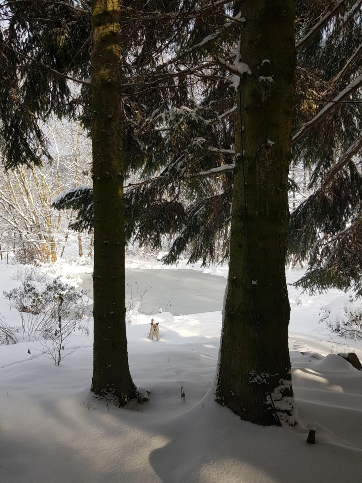 Na Piotrowickiej Przeleczy Vila Bystrzyca Kłodzka Exterior foto