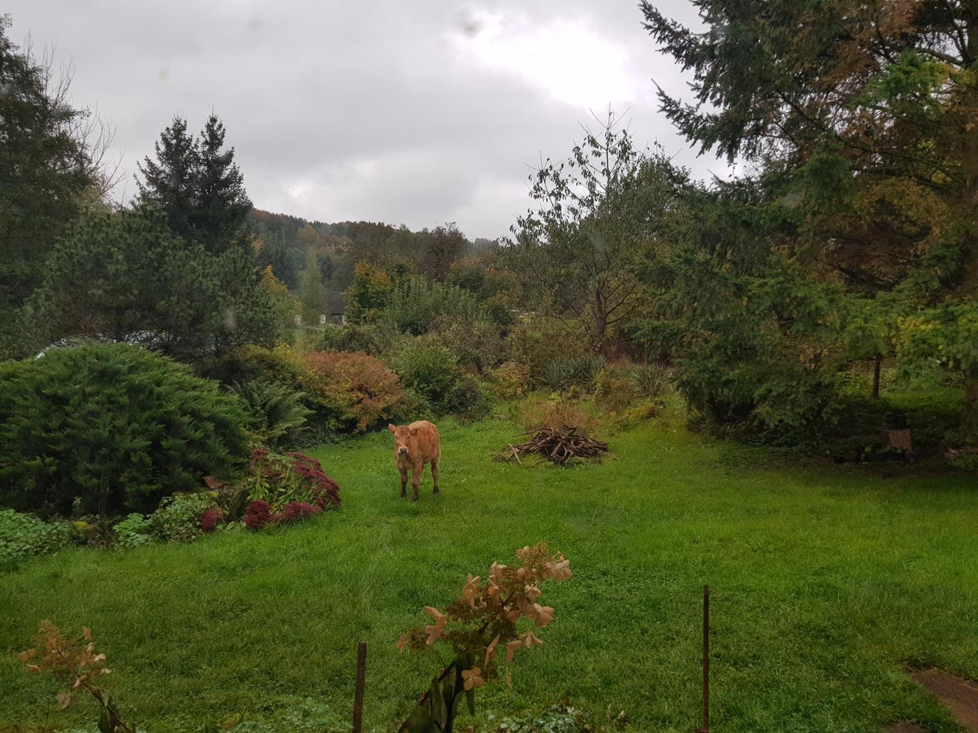 Na Piotrowickiej Przeleczy Vila Bystrzyca Kłodzka Exterior foto