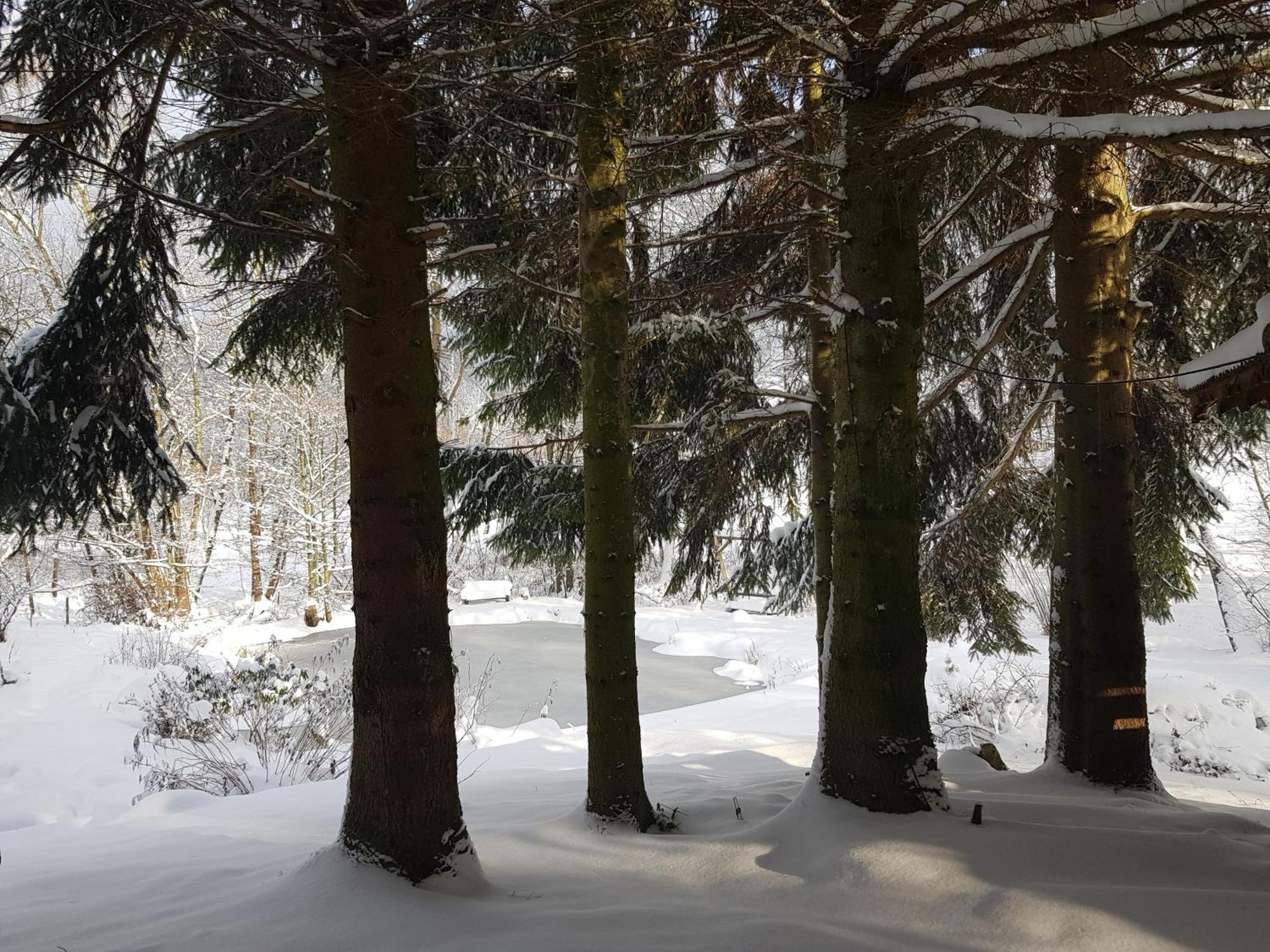 Na Piotrowickiej Przeleczy Vila Bystrzyca Kłodzka Exterior foto