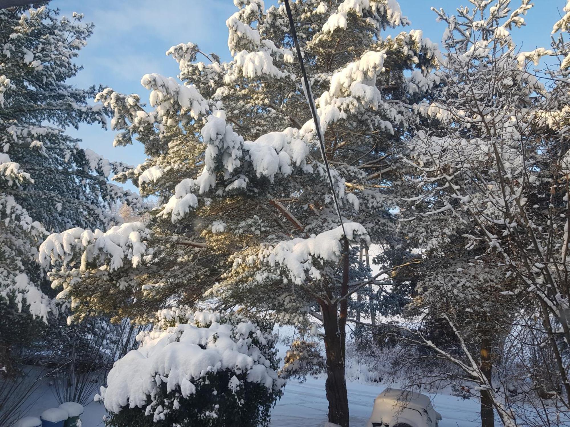 Na Piotrowickiej Przeleczy Vila Bystrzyca Kłodzka Exterior foto